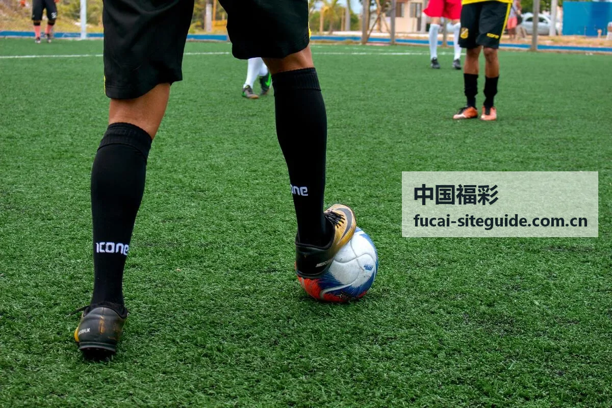 中国福彩3D历史走势数据分析参考